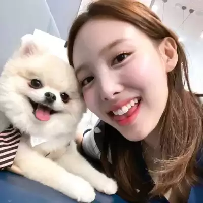 莘晏然